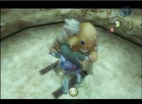 une photo d'Ã©cran de The Legend of Zelda - Twilight Princess sur Nintendo Gamecube